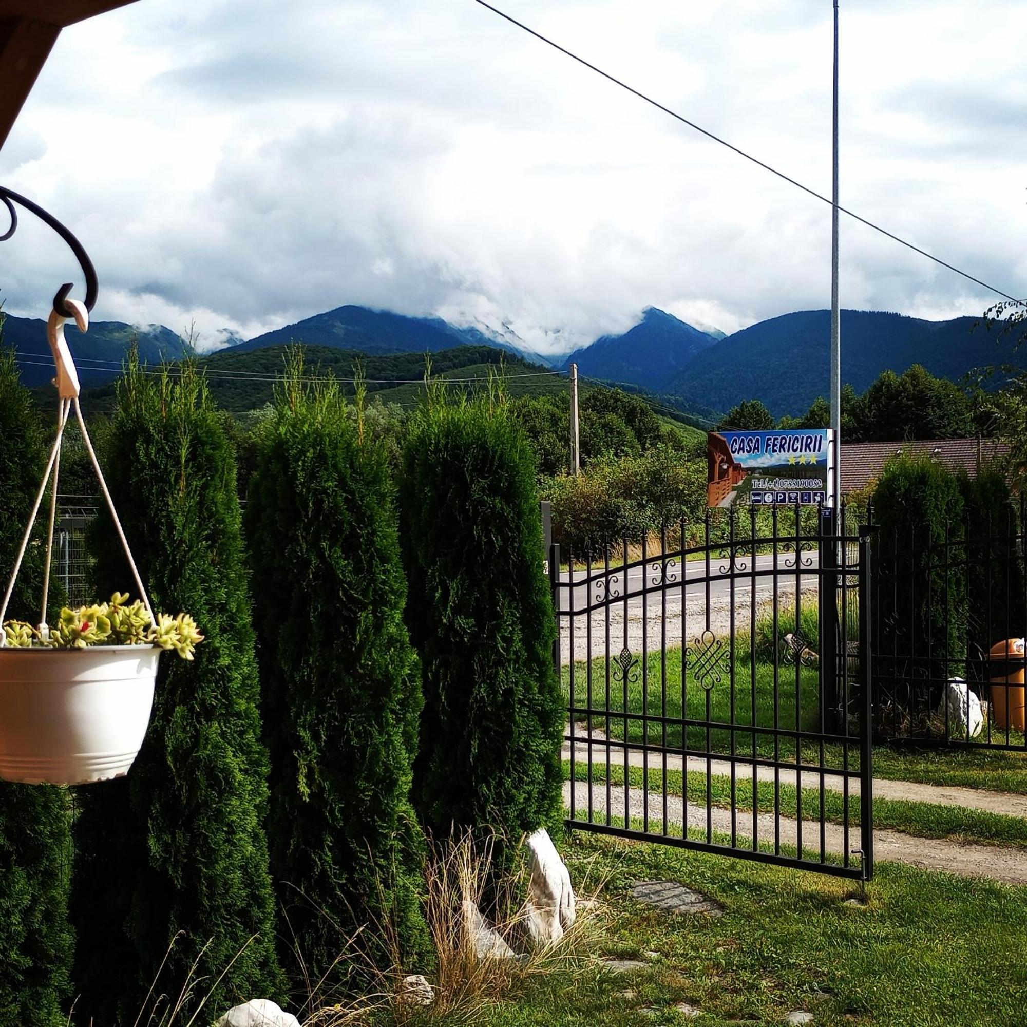 Villa Casa Fericirii Cîrţişoara Exterior foto