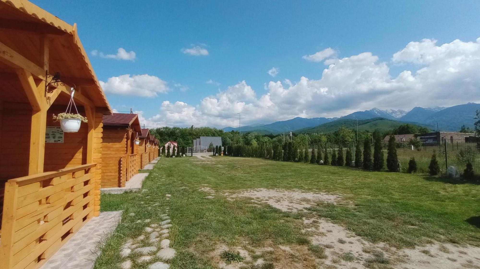 Villa Casa Fericirii Cîrţişoara Exterior foto